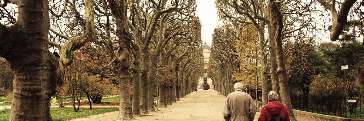 Eine Baumallee, ein älteres Paar geht Hand in Hand entlang der Allee